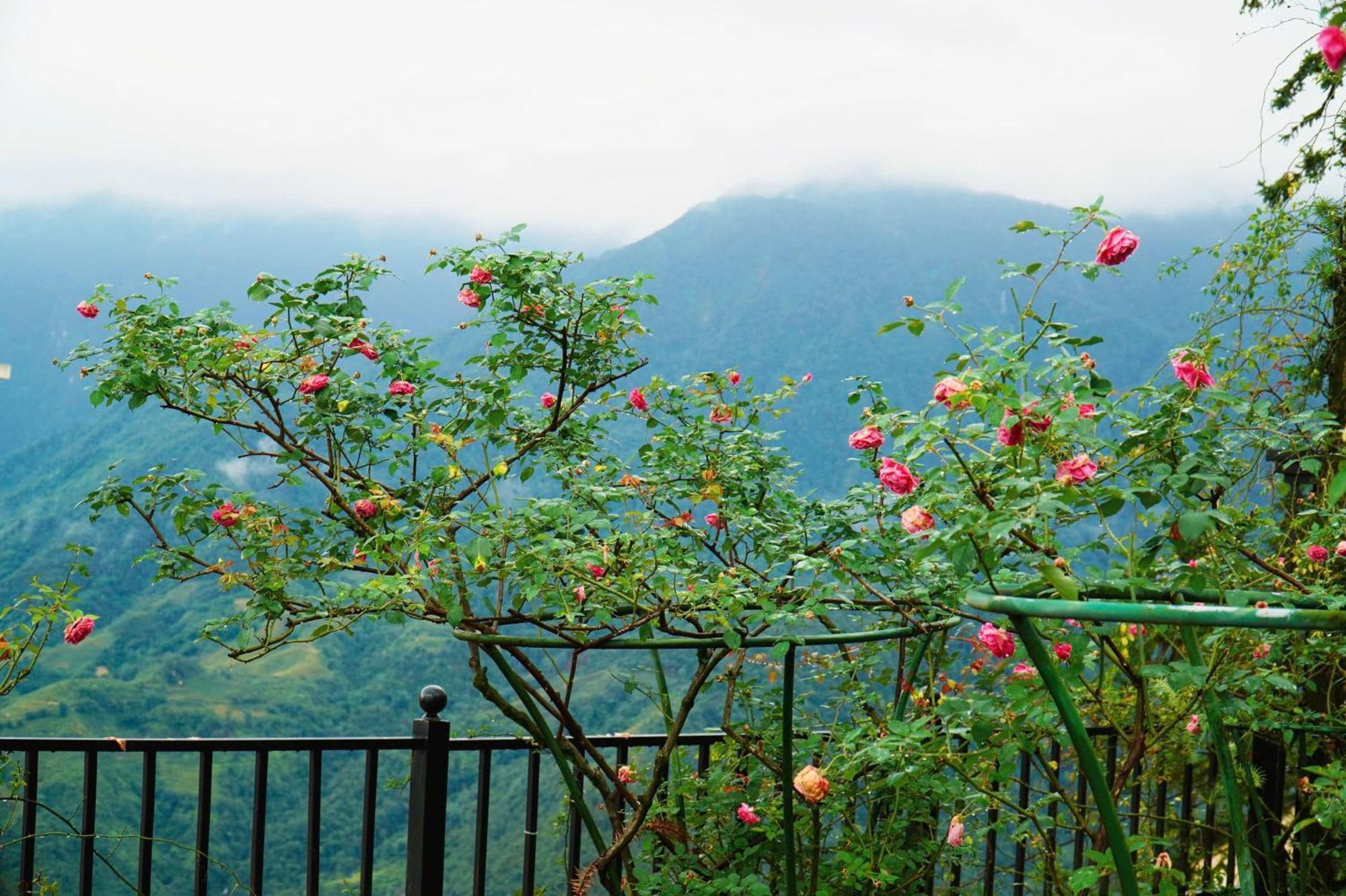 Sapa Highland Resort & Spa Luaran gambar